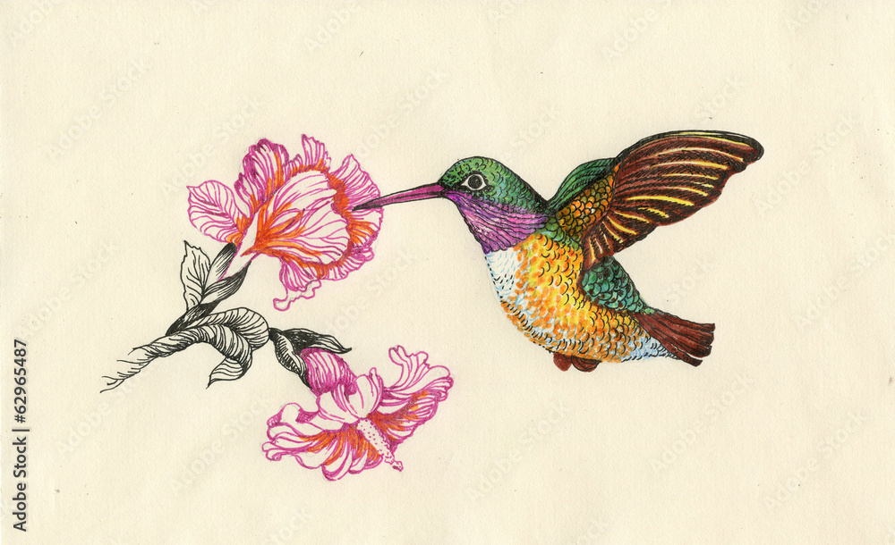 Obraz premium Drawing of beautiful bright birds and flowers