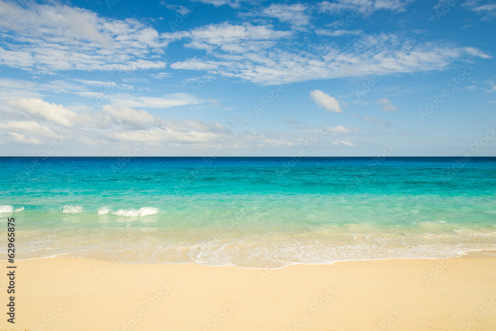 Fototapeta premium tropical beach