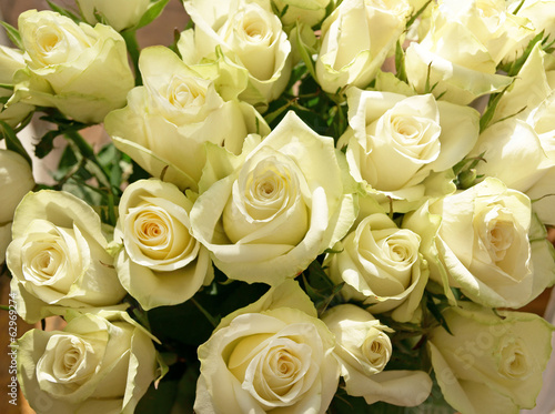 Bunch of greenish white roses, background © hapelena