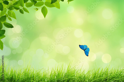 Spring or summer nature landscape with grass and bokeh lights