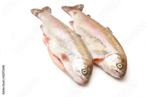 Rainbow trout isolated on a white studio background.