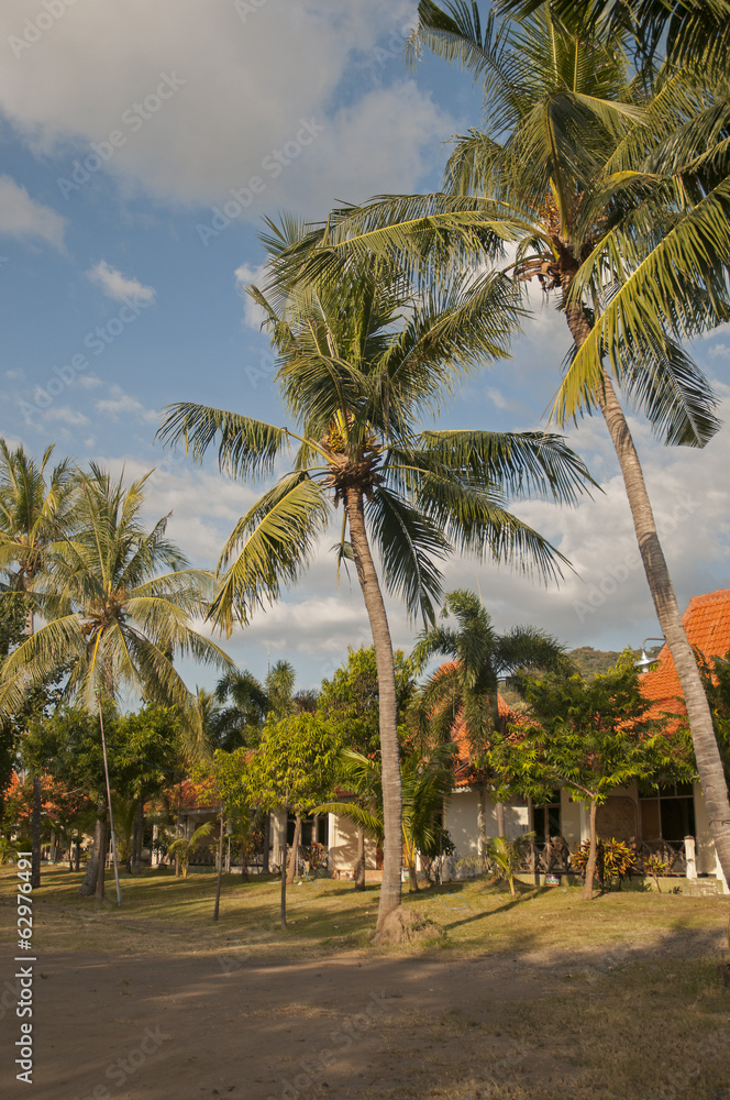 Obraz premium The beauty of Java