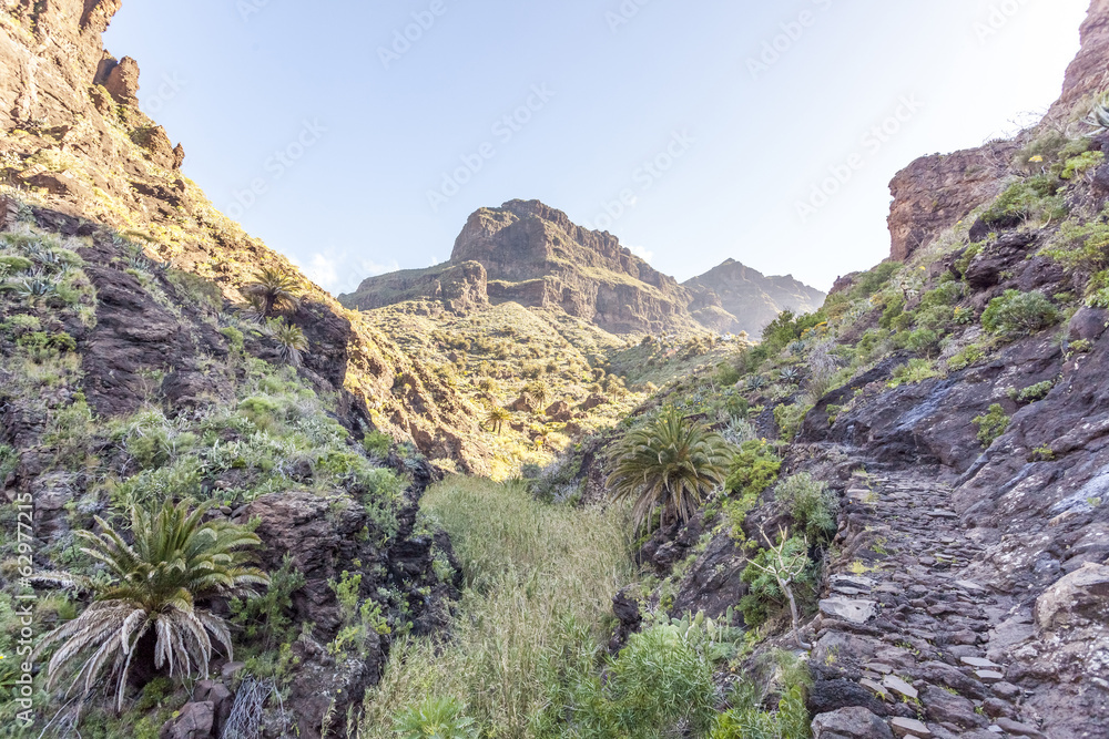Masca valley, in Tenerife Masca valley, in Tenerife