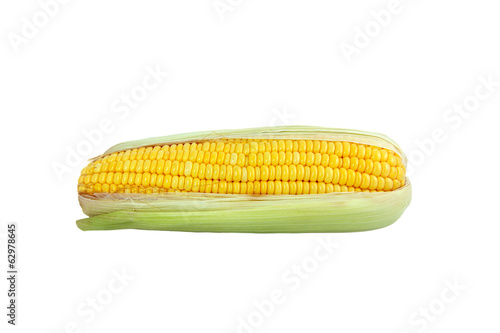 Sweet corn 2