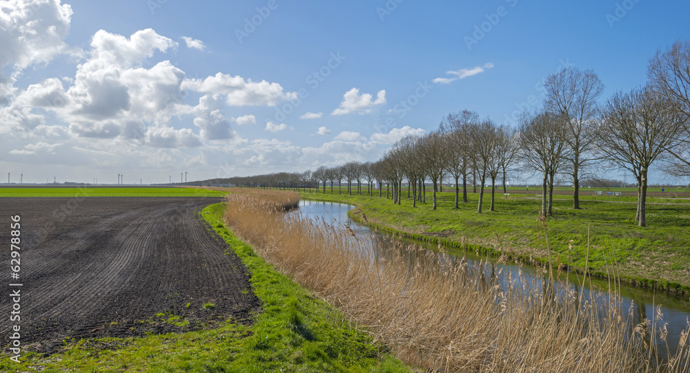 Canal through a rural landscape in spring