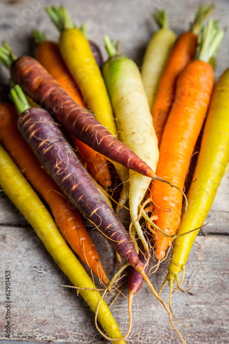 bunte Möhren