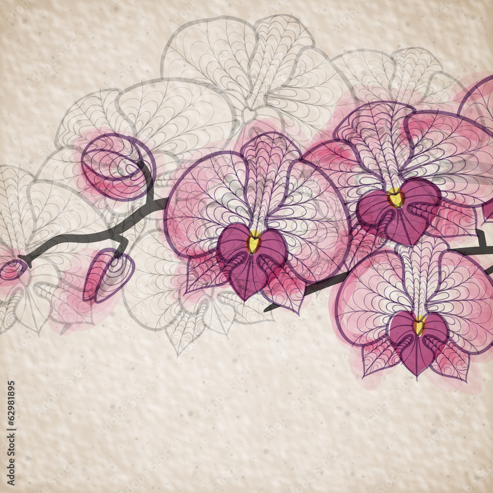 Hand Drawing Orchid Flower
