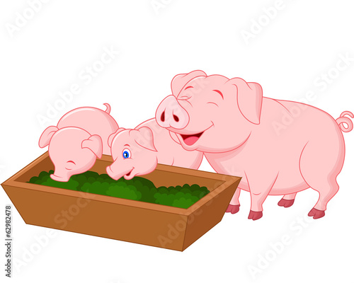 Happy farm pig family