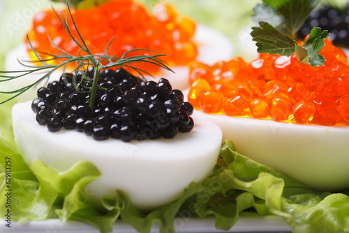 eggs with black and red fish caviar and lettuce macro #62983257
