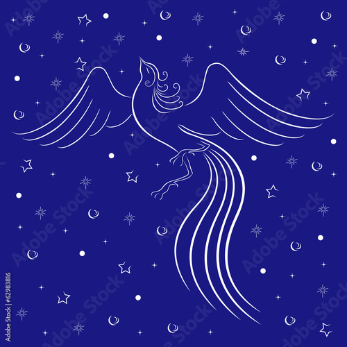 Graceful firebird contour over blue