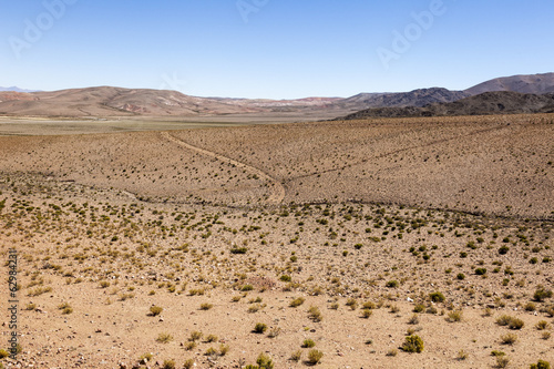 Desert Scenic