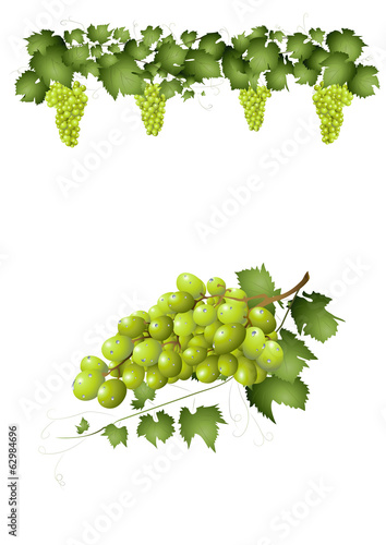 Weintrauben grün