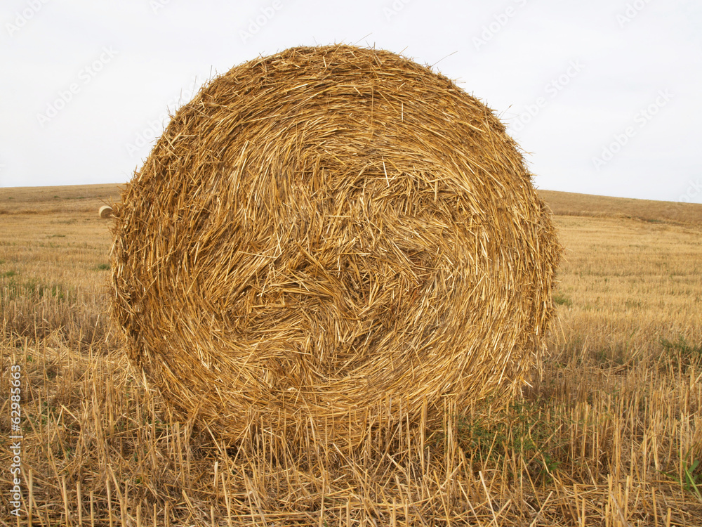 Balls of straw