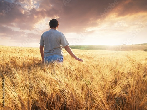 Boy walking through wheat field