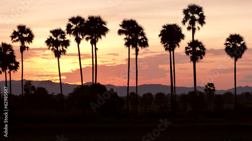 Sonnenuntergang unter Palmen...