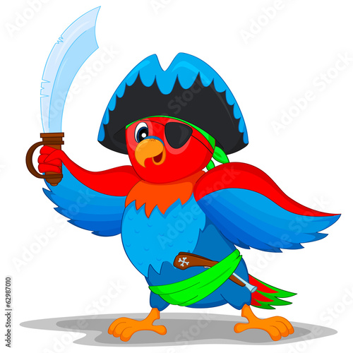 pirate parrot