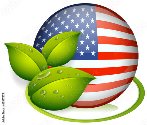 A ball with the flag of the United States and with leaves