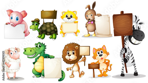 Fototapeta Naklejka Na Ścianę i Meble -  Animals with empty signboards