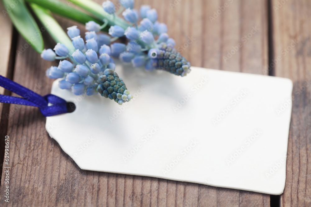 Blank Paper Label Blank Paper Label