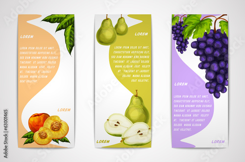 Mixed organic fruits banners collection