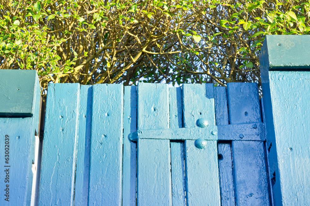 Fototapeta premium Garden gate