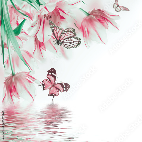 Red tulips  and  butterfly. Floral background.