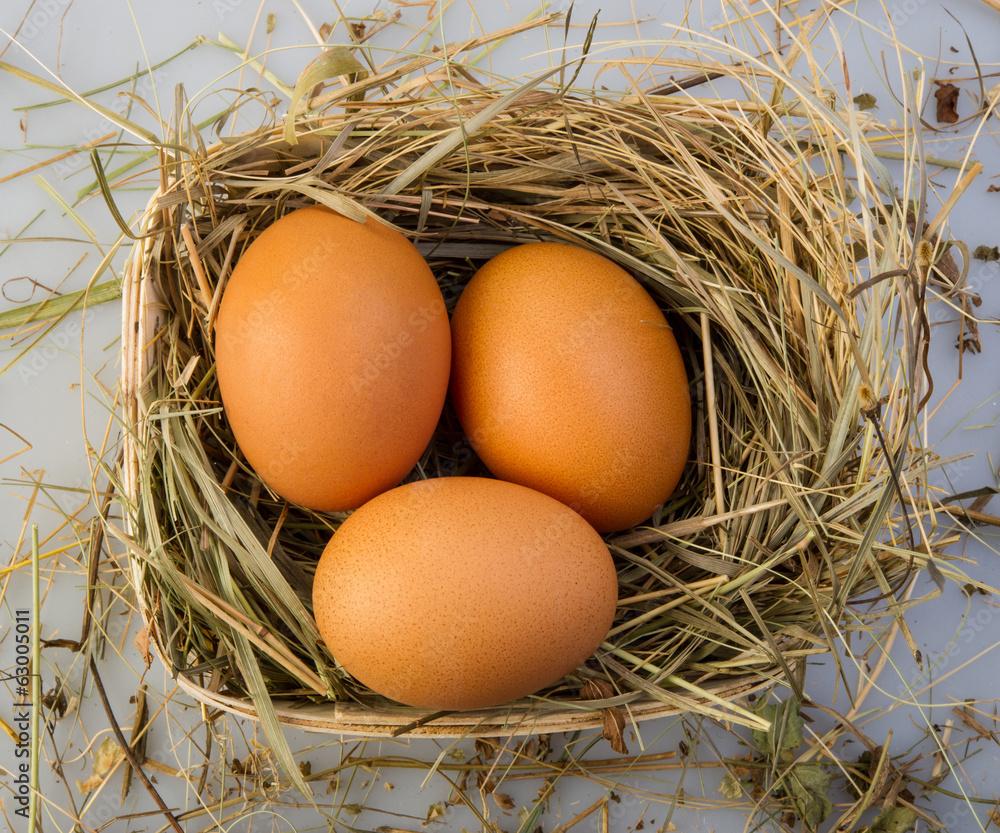 chicken eggs chicken eggs