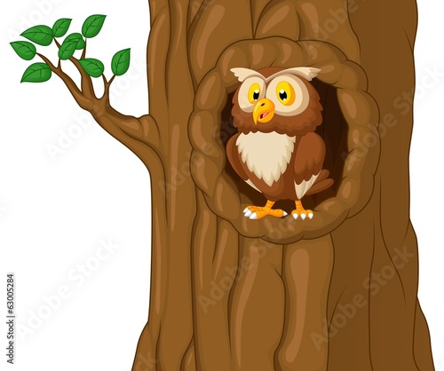 Cartoon Owl In Tree