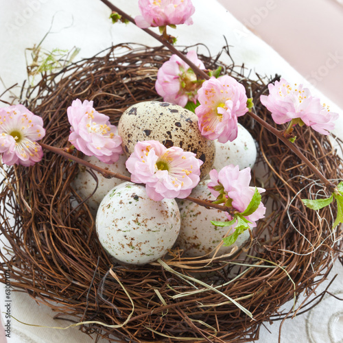 Kleines Osternest mit Wachteleiern photo