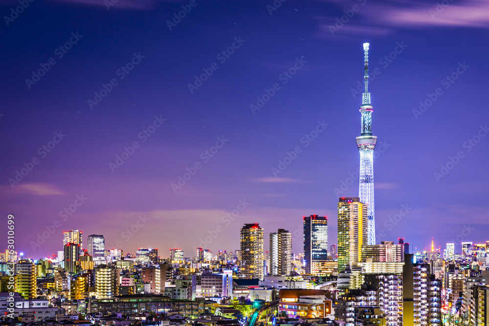 Obraz premium Tokyo Cityscape with Skytree