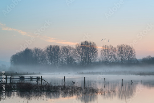 Landscape of lake in mist w...