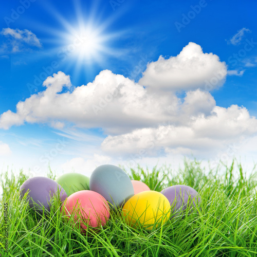 easter eggs in green grass with blue sky