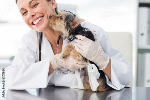 Fototapeta Naklejka Na Ścianę i Meble -  Puppy kissing female vet