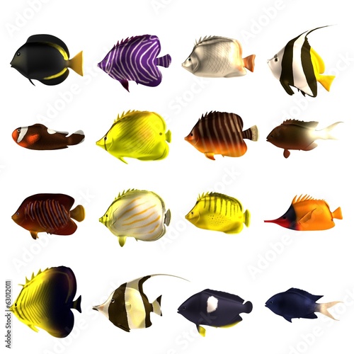 realistic 3d render of tropical fishes