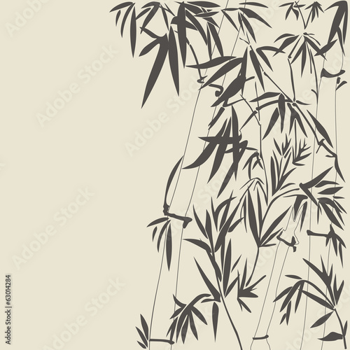 Bamboo vector illustration