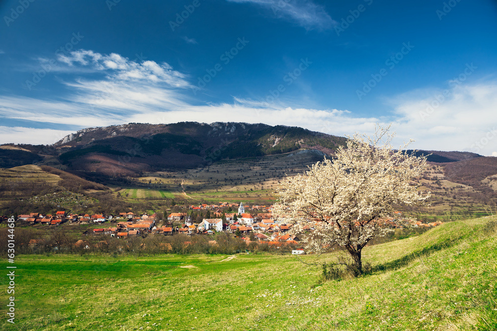 Village under the mountains in Transylvania