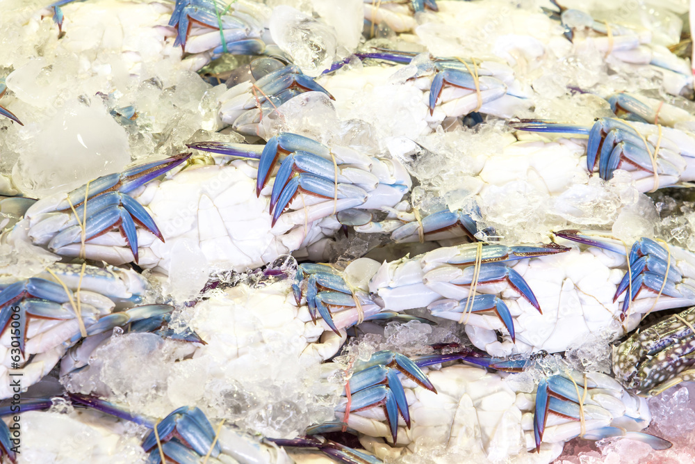 Blue crab or Horse crab in market Blue crab or Horse crab in market