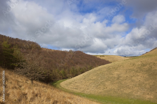 yorkshire wolds hillsides