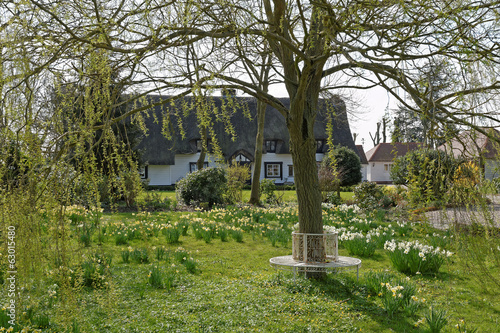 Εκτύπωση καμβά Cottage Garden in Spring