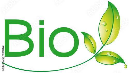 BIO 1