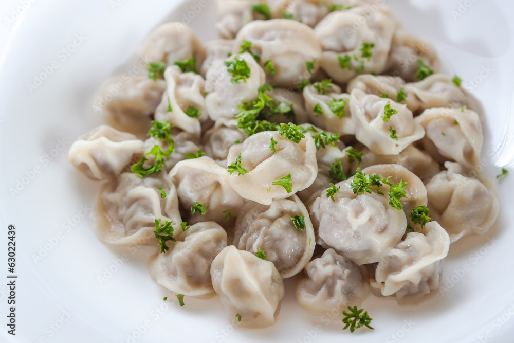 pelmeni with greens on a white background in a white plate pelmeni with greens on a white background in a white plate