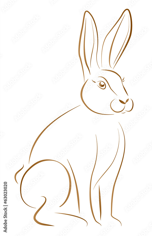 Rabbit Sitting Rabbit Sitting