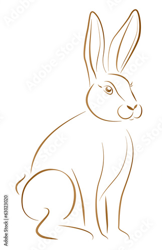 Rabbit Sitting