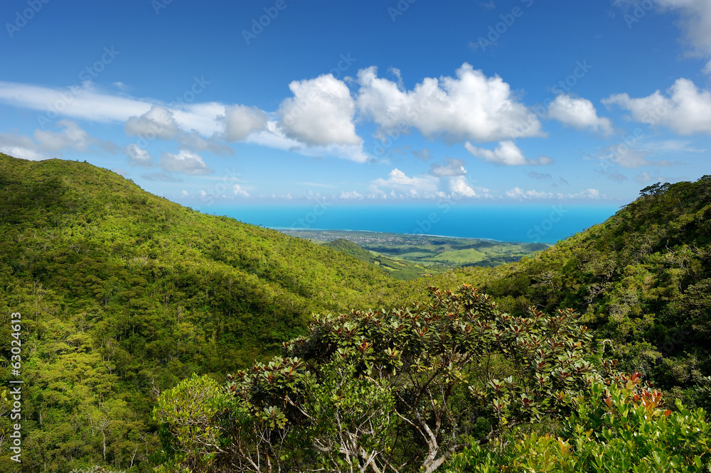 Tropical jungles of Mauritius island