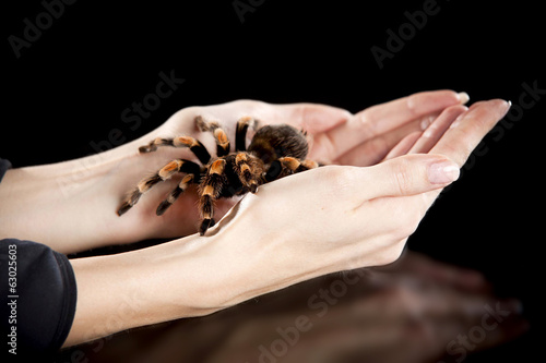 Woman holding a Tarantula in hand