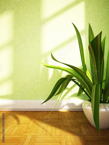 a plant on the floor