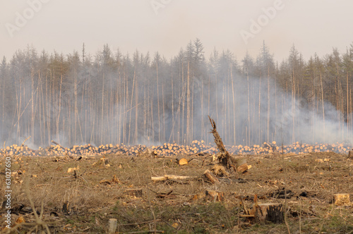 Location deforestation in the smoke of fires