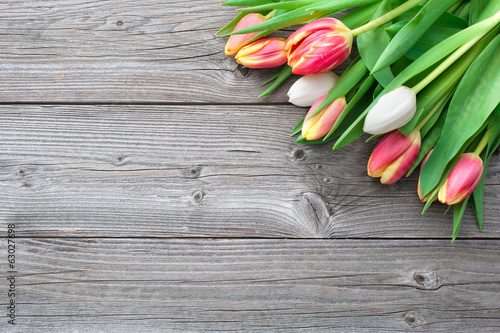 fresh tulips on wooden background #63027698