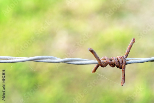 Barb wire