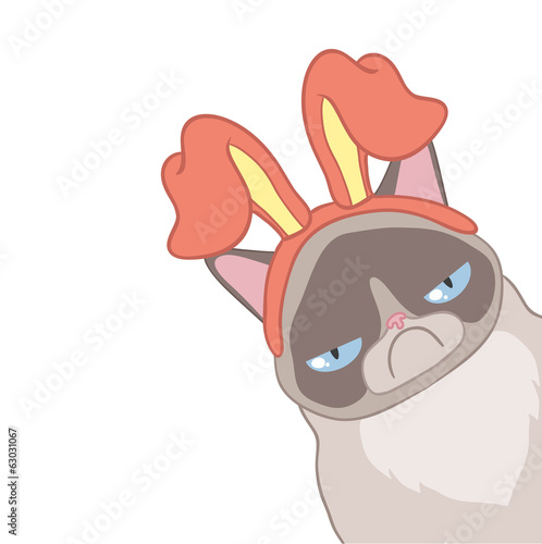 Cat Alya hare ears